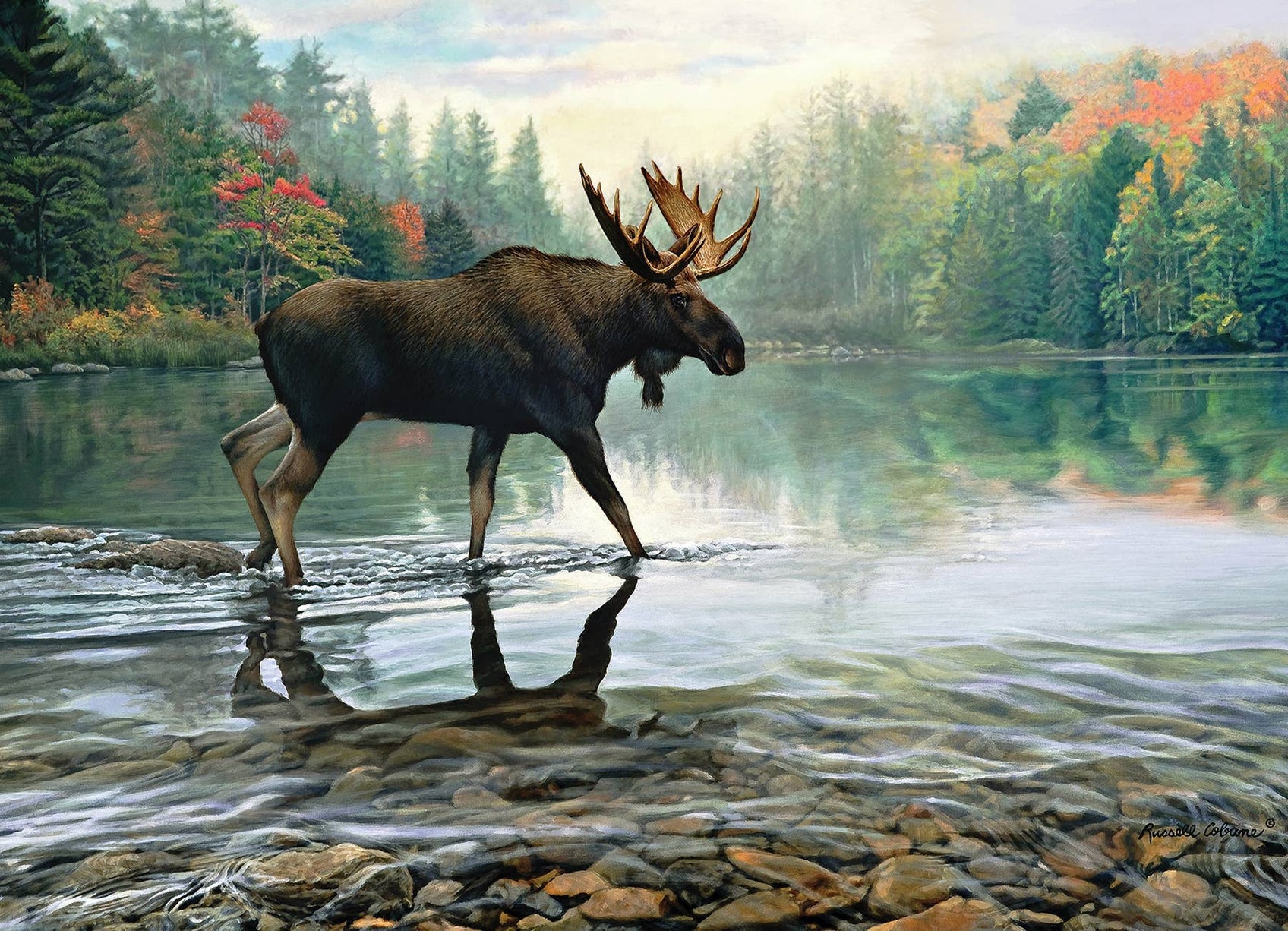 Moose Crossing Puzzle