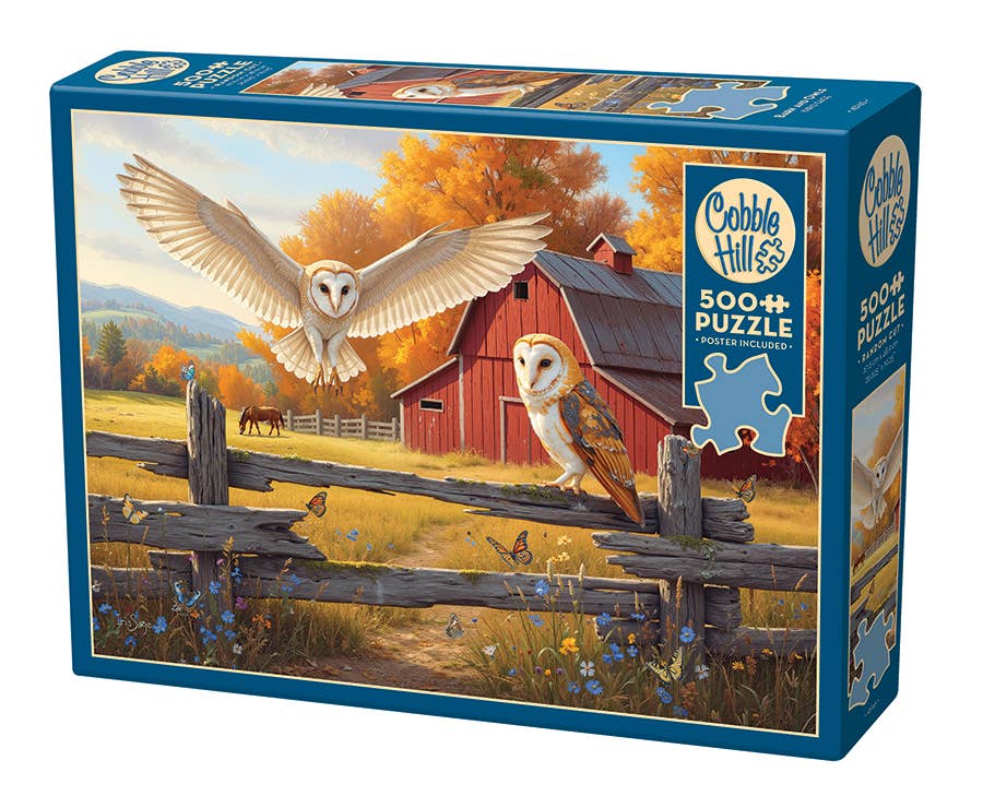 Barn and Owls Puzzle