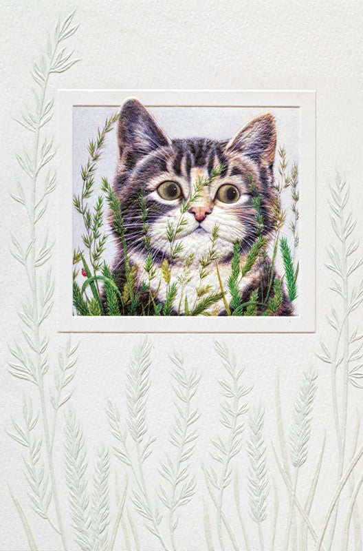 Cat Hiding Birthday Card