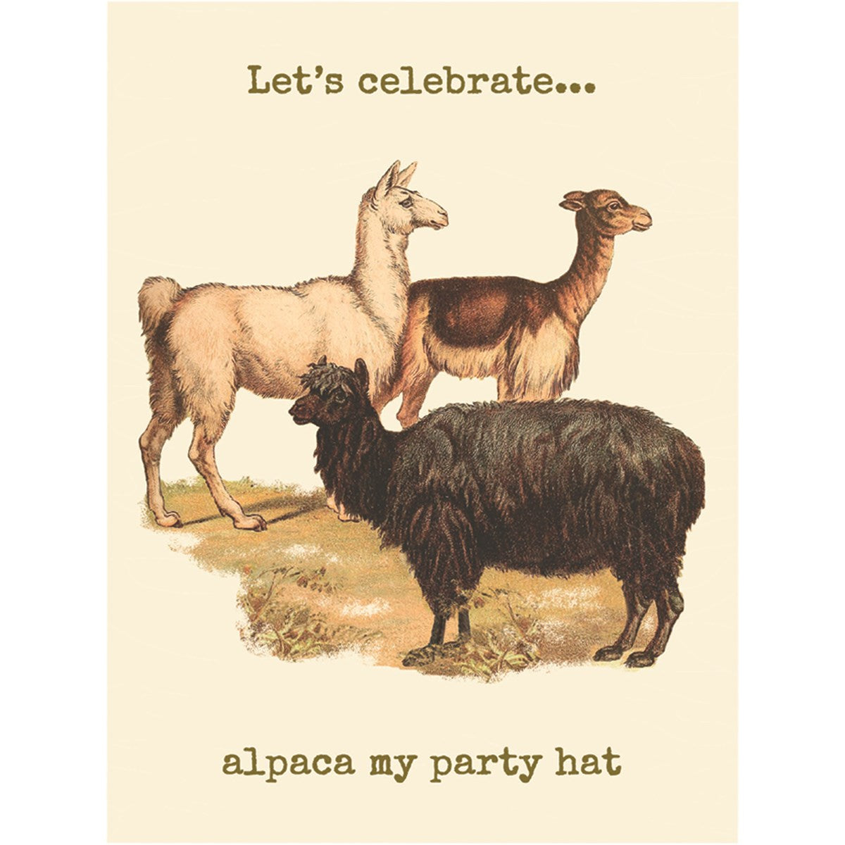 Animal Pun Cards
