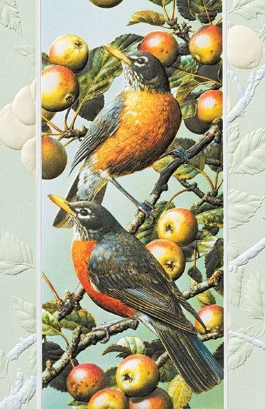 American Robins Birthday Card