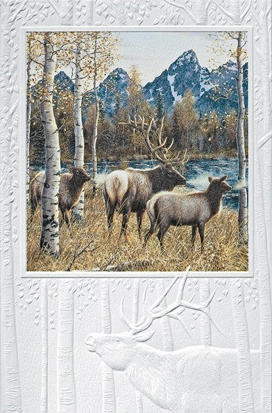 Autumn Rival Elk Birthday Greeting Card