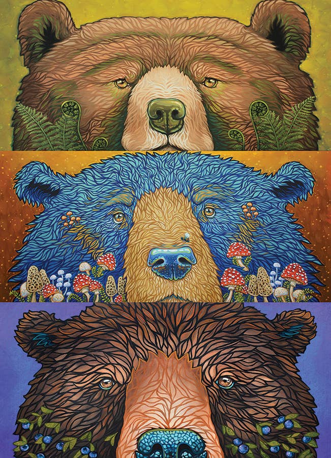 Bear Eyes Harvest Puzzle