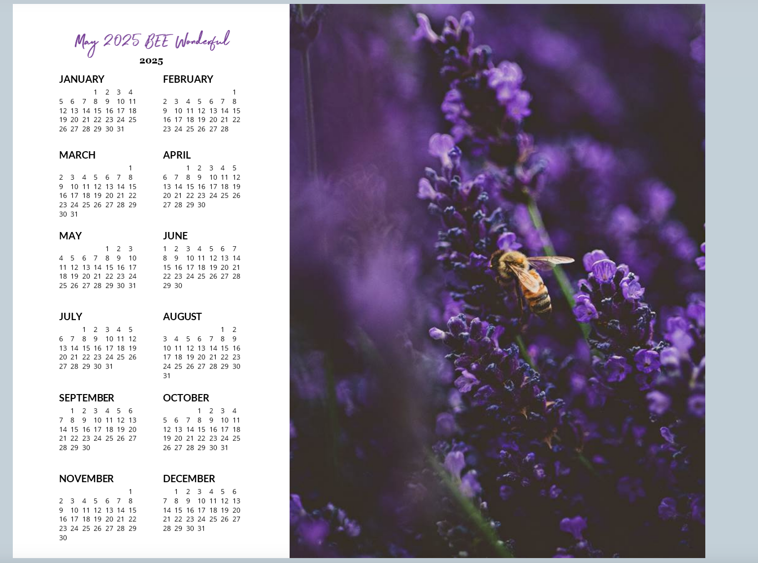 2025 Calendars by Amberlee