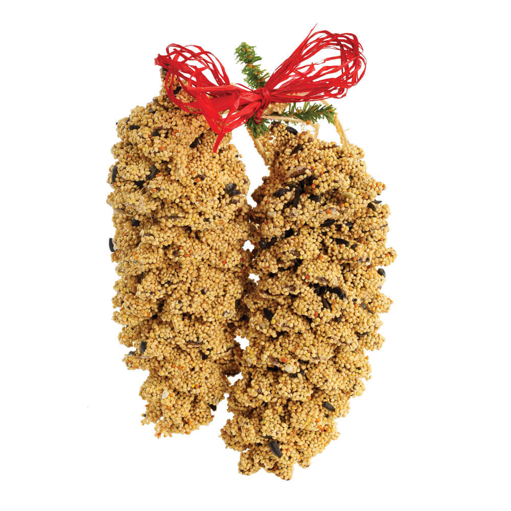 Birdseed Pinecones