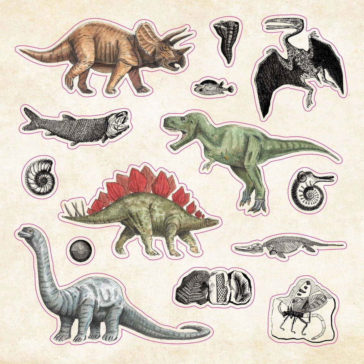 Book Of Curiosities Sticker Book