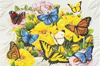 Butterfly Birthday Card