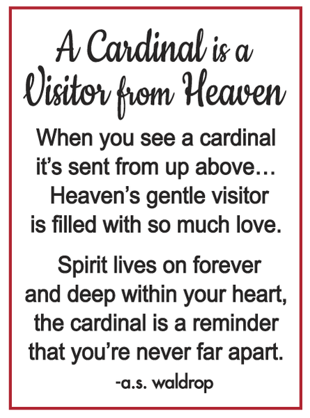 Cardinal Message From Heaven Charms