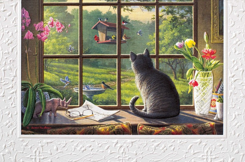 Cat in Window Birthday Card