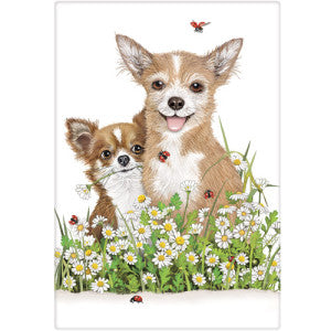 Tan with white adult chihuahua and red with white puppy chihuahua sitting in white daisy's. Puppy has a daisy in mouth and there are six lady bugs flying around.