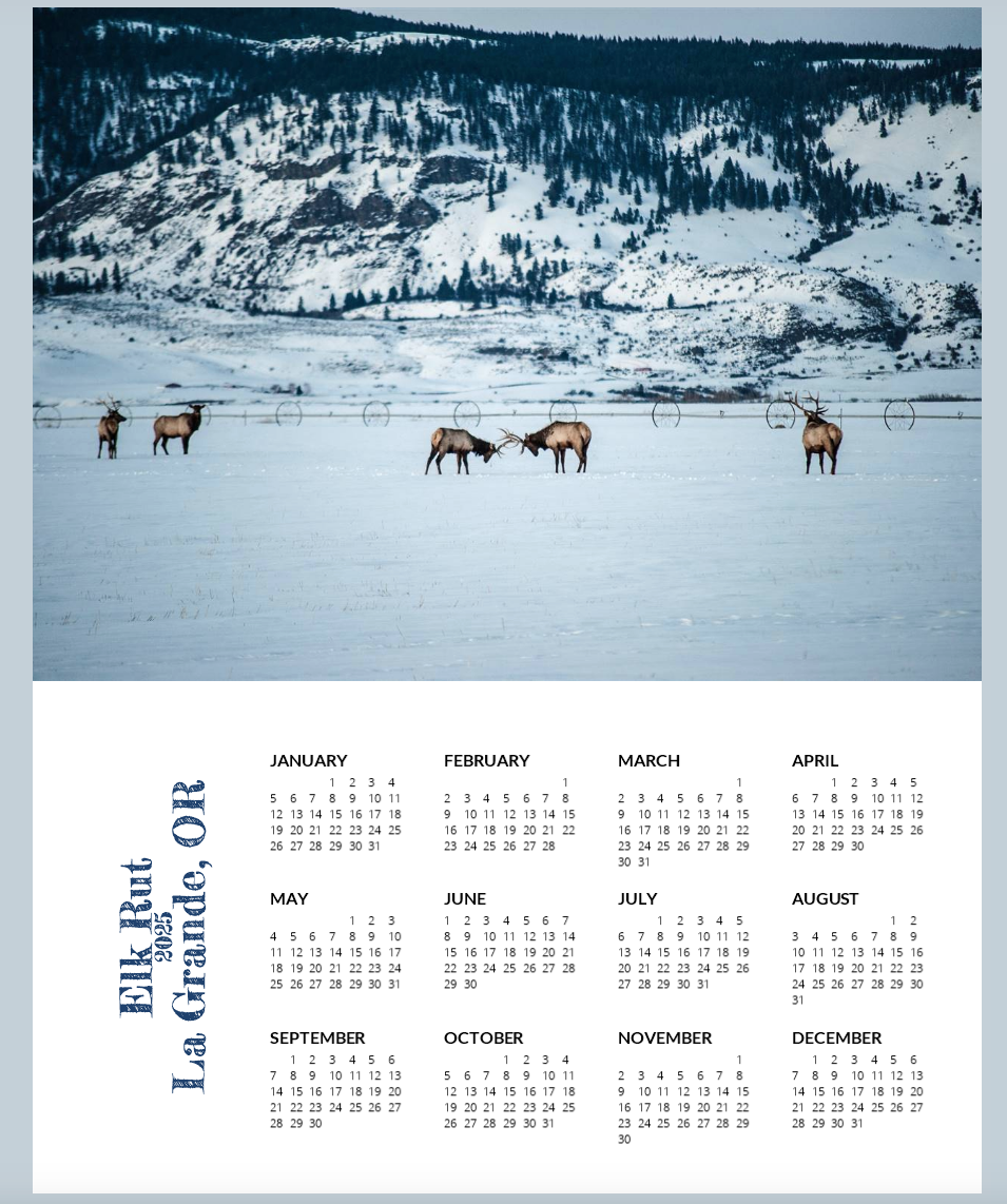 2025 Calendars by Amberlee