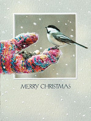 Feeding Bird Christmas Greeting Cards