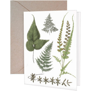Fern Variety Greeting Card