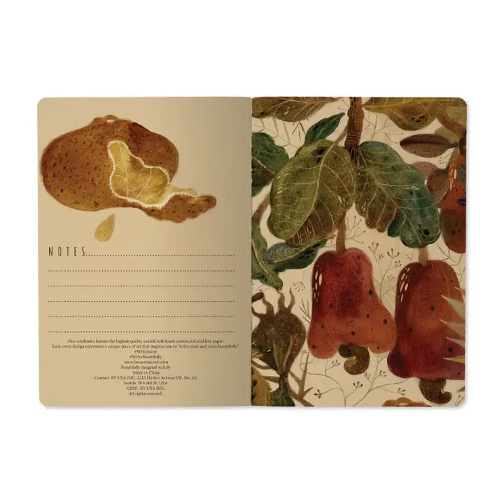 Fig Notebook