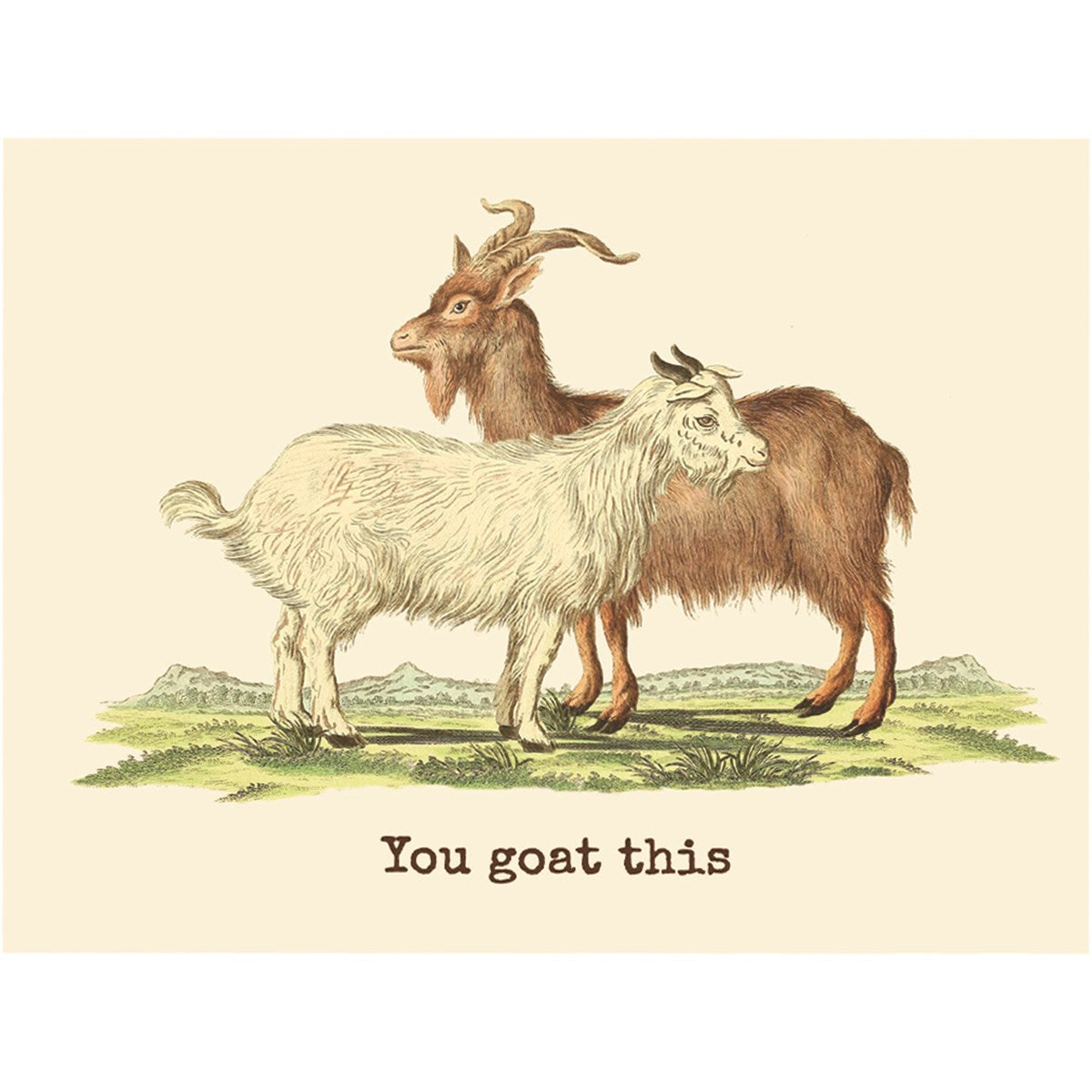 Animal Pun Cards