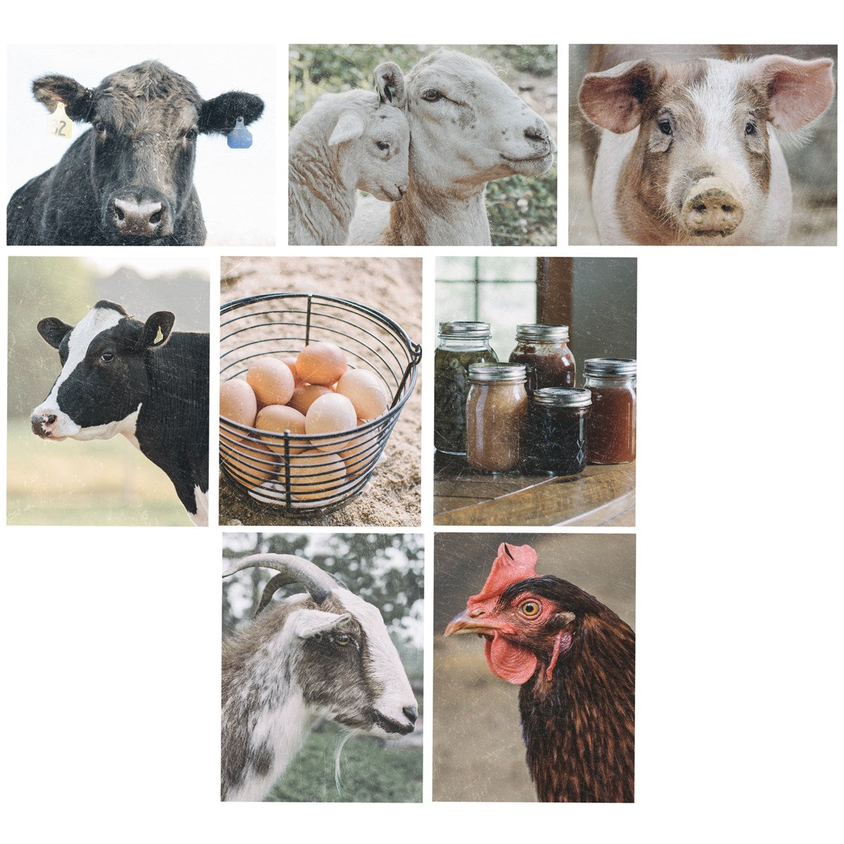 Homestead Blank Cards