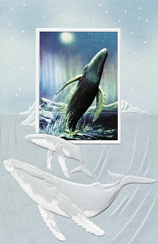 Humpback Whale Birthday Card