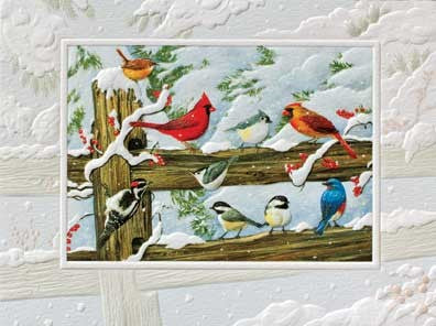 Winter Songbirds Greeting Cards