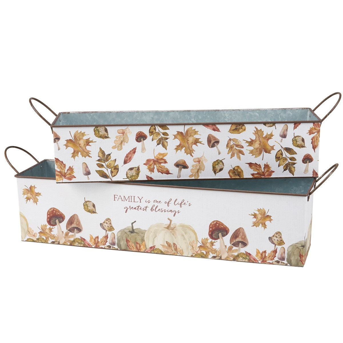 Mushrooms Fall Metal Tin