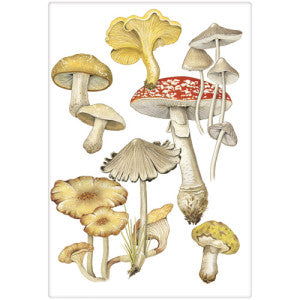 Scattered mushroom design with 5 different kinds, mostly tan and grey with one red spotted mushroom.