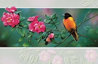 Orange Oriole Birthday Card