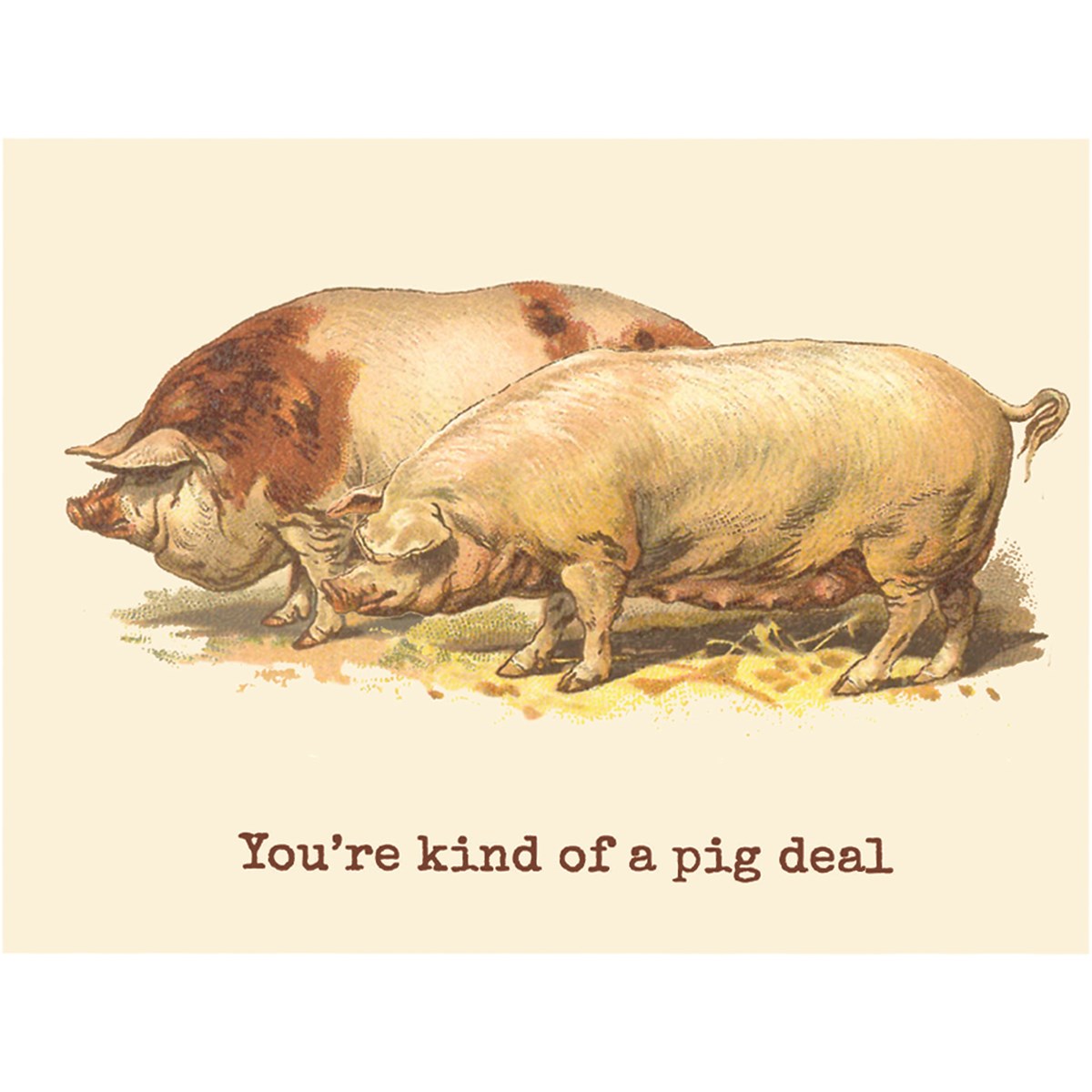 Animal Pun Cards