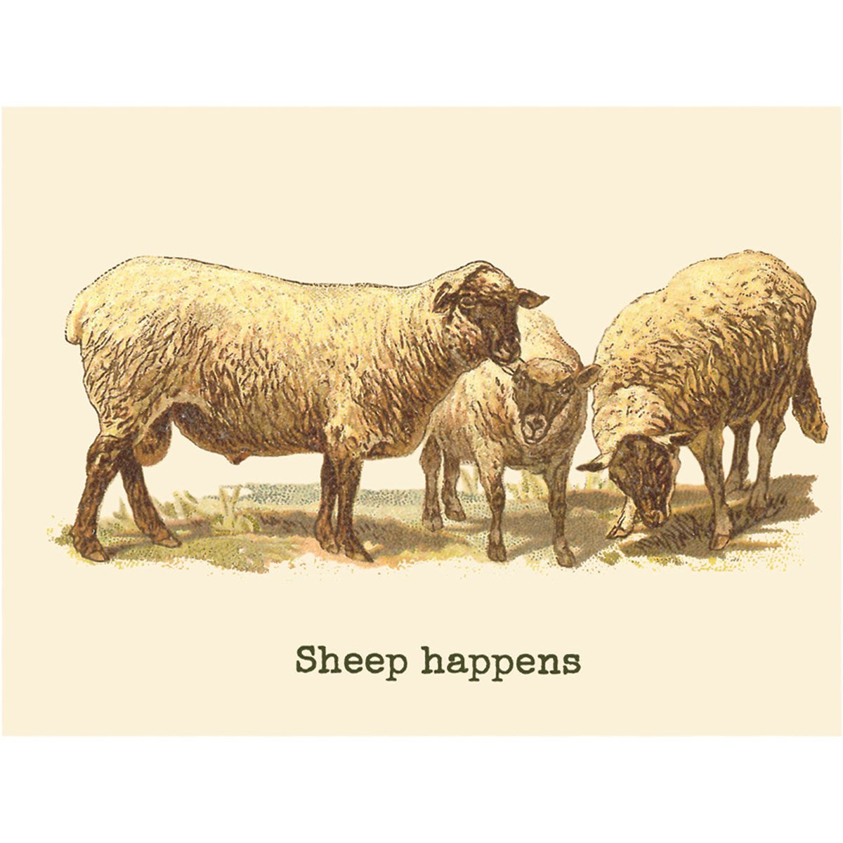 Animal Pun Cards
