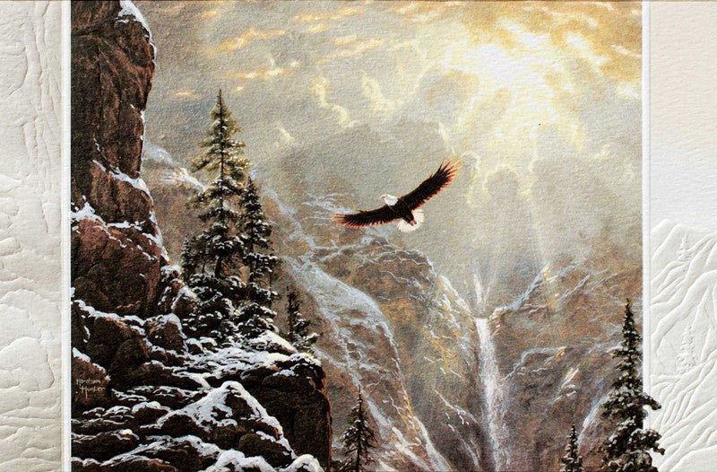 Eagle In Snowy Mountains Greeting Cards