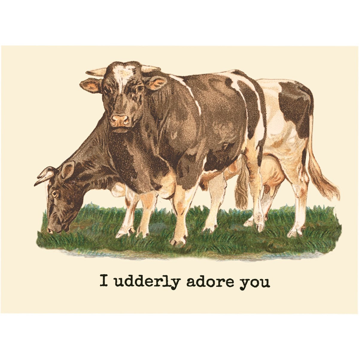 Animal Pun Cards