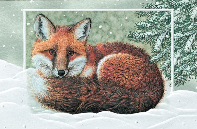 Winter Fox Greeting Cards