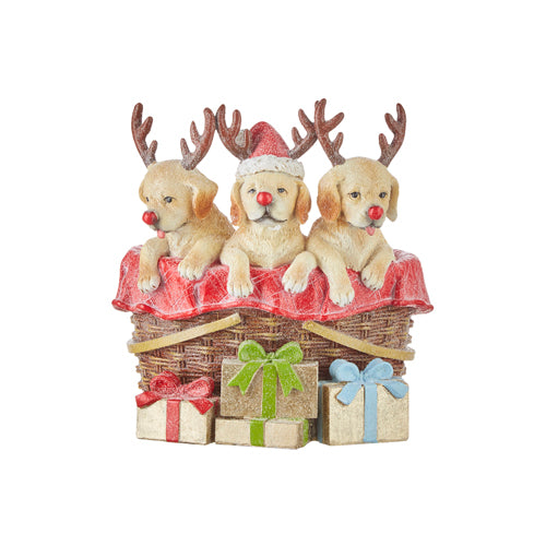 yellow labrador dogs with red nose