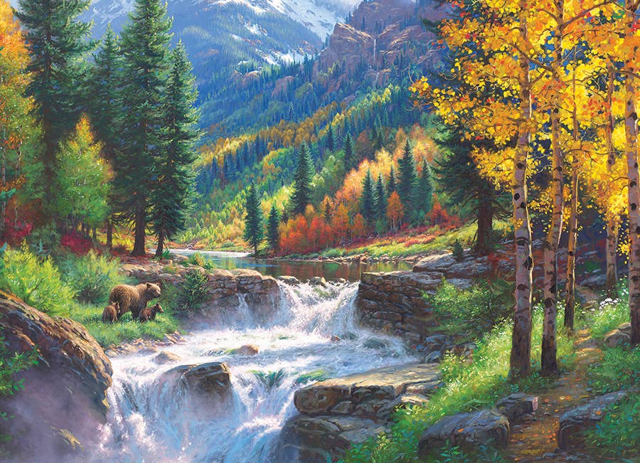 Bear Falls Puzzle