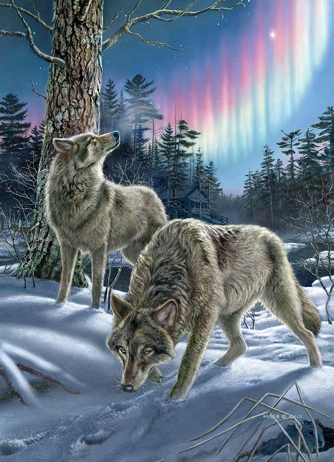 Northern Lights Puzzle
