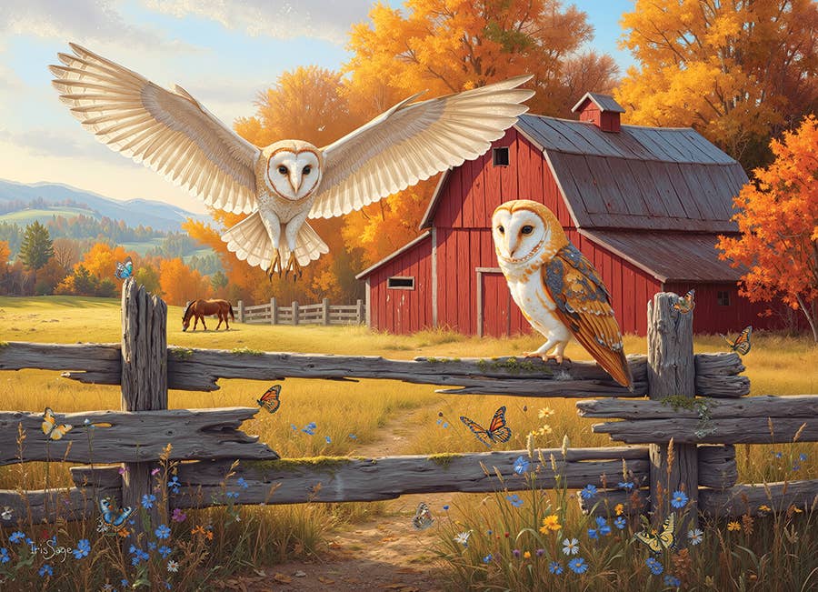 Barn and Owls Puzzle