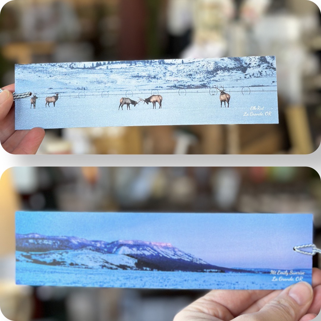 Local Photography Bookmarks