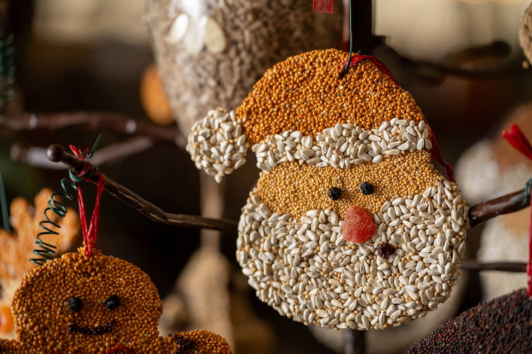Christmas Cookie Assortment