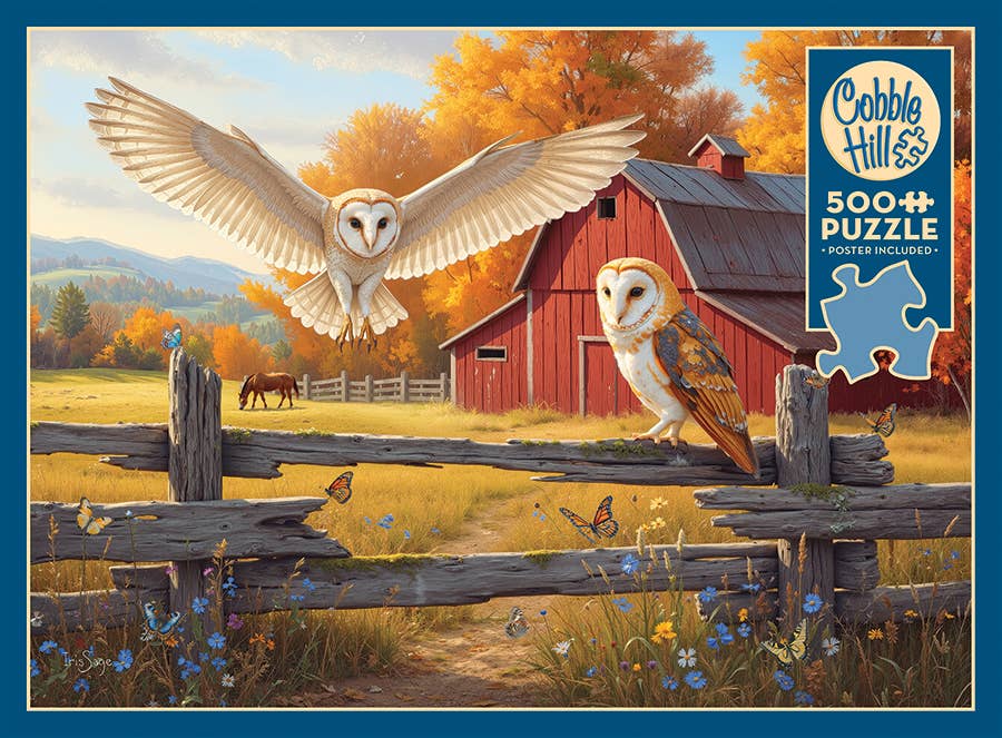 Barn and Owls Puzzle