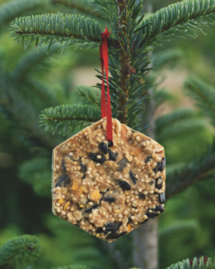 Farmhouse Christmas: Recipes and Crafts for a Cozy Homemade