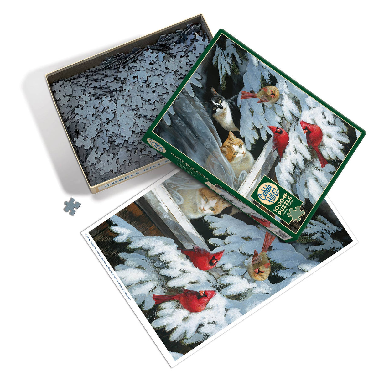 Bird Watchers Puzzle