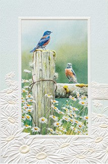 Bluebird Birthday Card