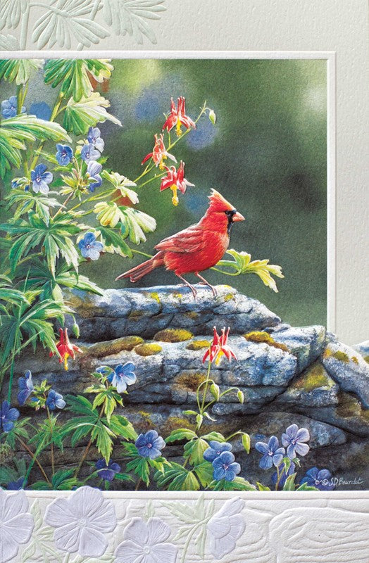 Cardinal Sympathy Card