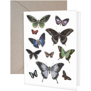 Colorful Butterfly Greeting Card