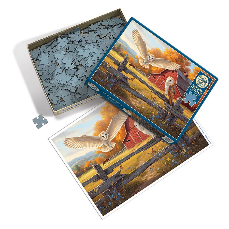 Barn and Owls Puzzle