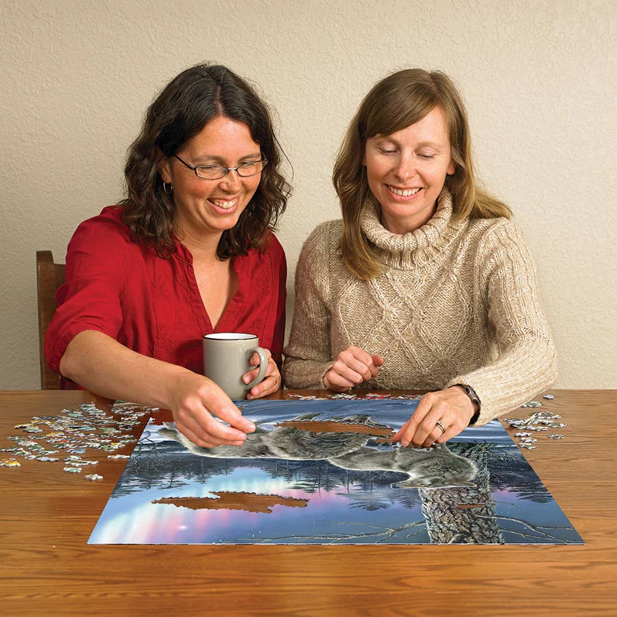 Northern Lights Puzzle