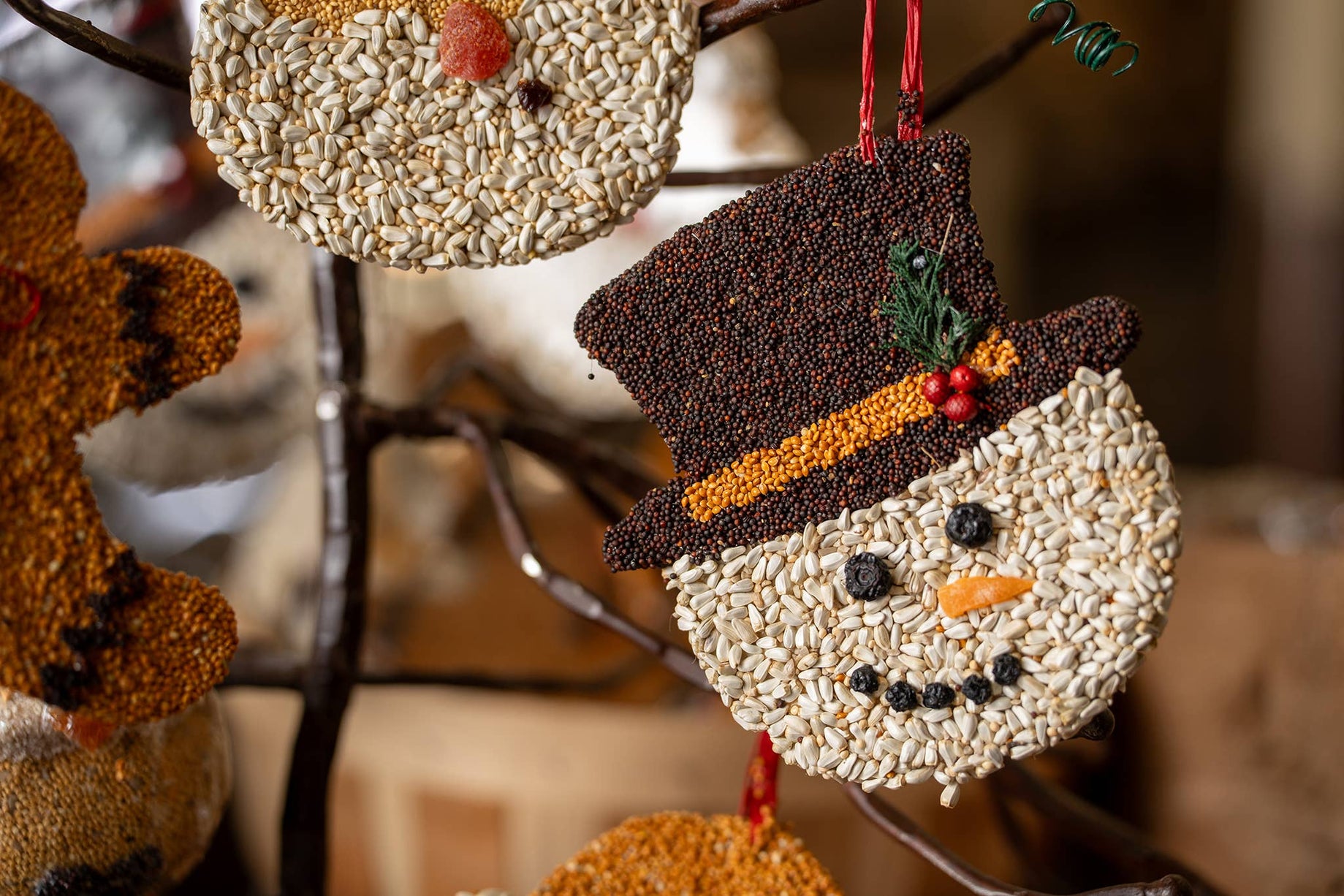 Christmas Cookie Assortment