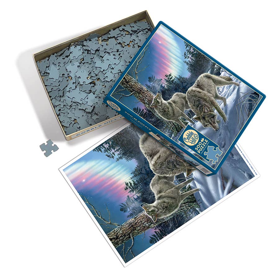 Northern Lights Puzzle