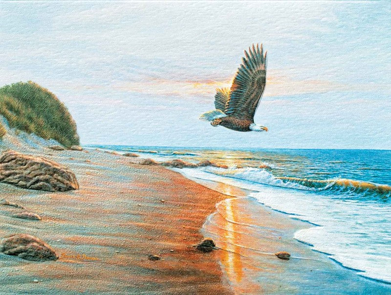 Ocean Eagle Sympathy Card