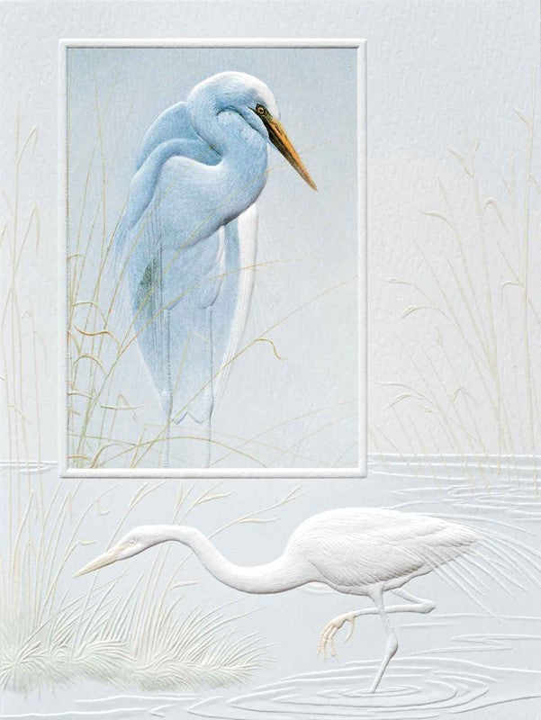 Egret Bird Sympathy Card