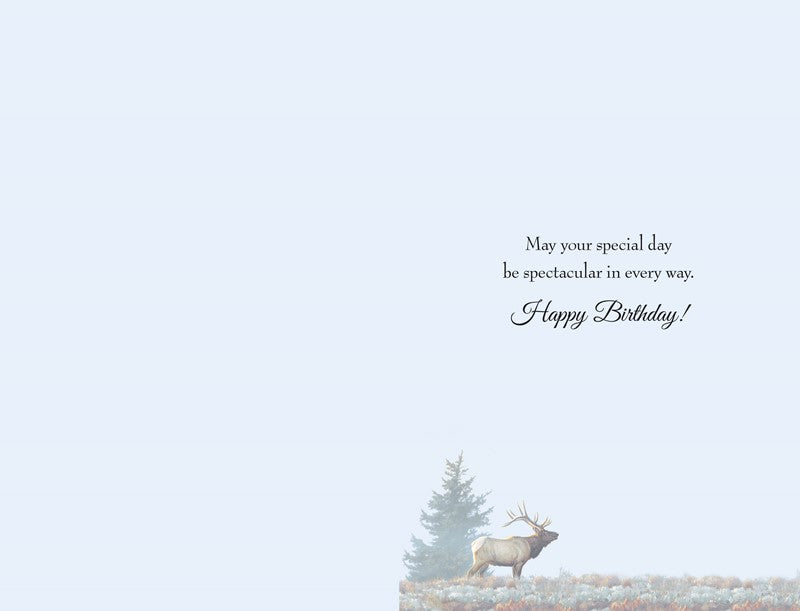 Elk Aspens Birthday Card