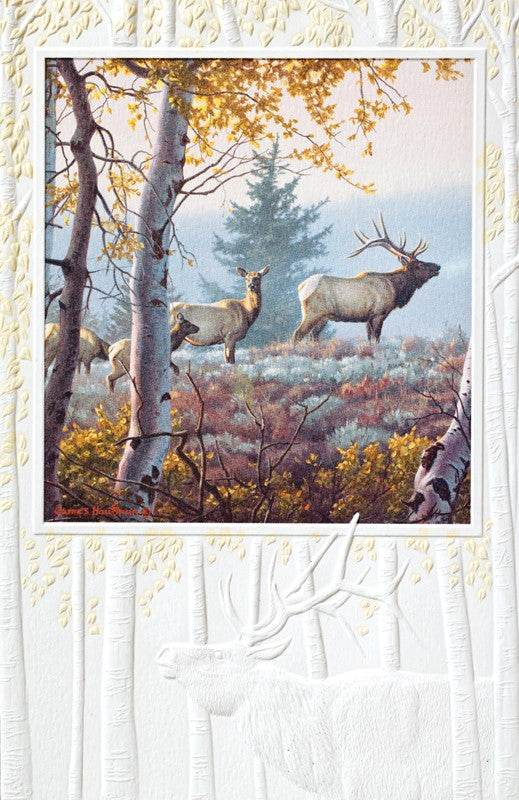 Elk Aspens Birthday Card